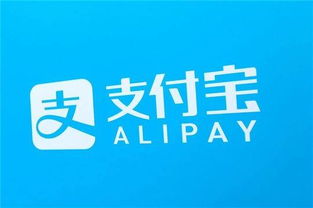 婚姻家庭類法律咨詢中經濟封鎖問題突出，支付寶平臺數據顯示占比近六成